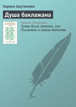 Каринэ Арутюнова Душа баклажана обложка книги