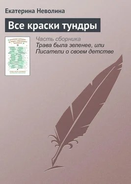 Екатерина Неволина Все краски тундры обложка книги