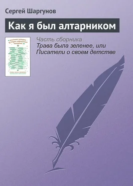 Сергей Шаргунов Как я был алтарником обложка книги