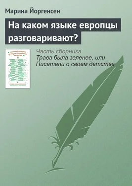 Марина Йоргенсен На каком языке европцы разговаривают? обложка книги