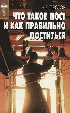 Николай Пестов Что такое пост и как правильно поститься обложка книги