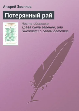 Андрей Звонков Потерянный рай обложка книги