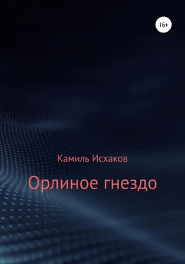 Камиль Исхаков Орлиное гнездо обложка книги