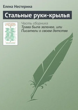 Елена Нестерина Стальные руки-крылья обложка книги