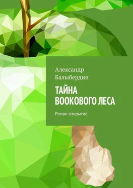 Александр Балыбердин Тайна Bookового леса. Роман-открытие обложка книги