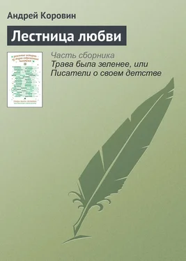 Андрей Коровин Лестница любви обложка книги