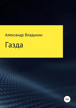 Александр Владыкин Газда обложка книги