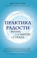 Тит Нат Хан - Практика радости. Жизнь без смерти и страха