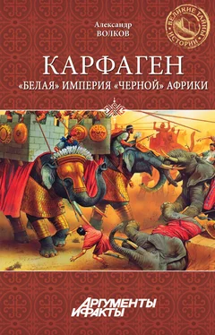 Александр Волков Карфаген. «Белая» империя «черной» Африки обложка книги