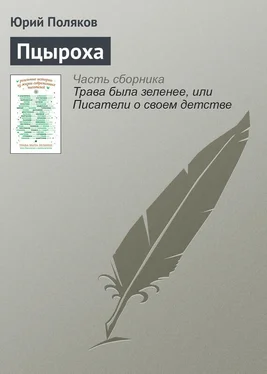 Юрий Поляков Пцыроха обложка книги