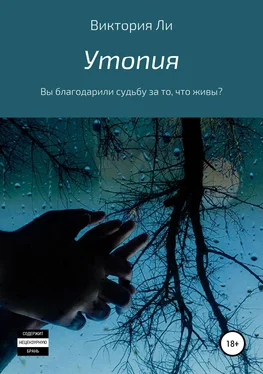 Виктория Ли Утопия обложка книги