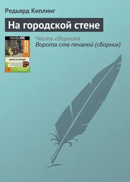 Редьярд Киплинг На городской стене обложка книги