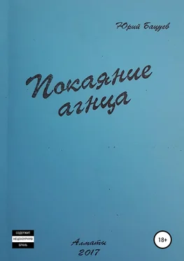 Юрий Бацуев Покаяние агнца обложка книги