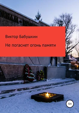 Виктор Бабушкин Не погаснет огонь Памяти обложка книги