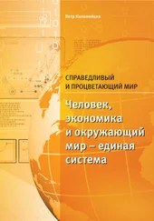 Пётр Коломейцев - Справедливый и процветающий мир