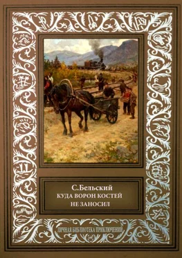 С. Бельский Куда ворон костей не заносил. Рассказы обложка книги