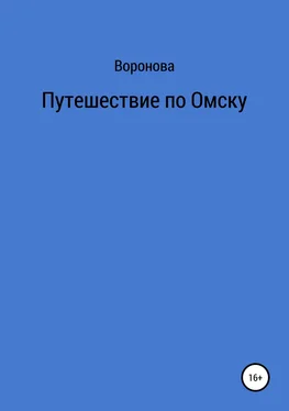 Воронова Путешествие по Омску обложка книги