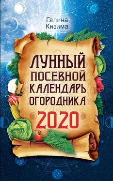 Галина Кизима Лунный посевной календарь огородника на 2020 год обложка книги