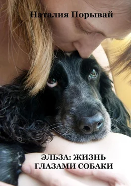 Наталия Порывай Эльза: Жизнь глазами собаки обложка книги