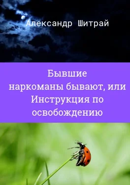 Александр Шитрай Бывшие наркоманы бывают, или Инструкция по освобождению обложка книги