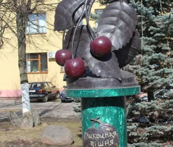 Памятник вишне в Глубоком Источник - фото 7