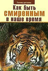 Николай Пестов - Как быть смиренным в наше время?