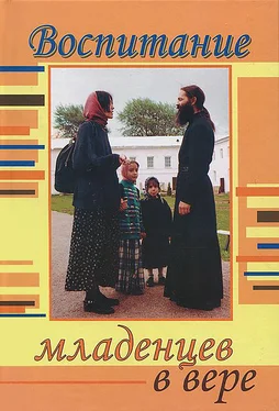 Анна Ершова Воспитание младенцев в вере обложка книги