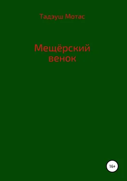 Тадэуш Мотас Мещерский венок обложка книги