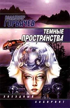 Владимир Горбачев Темные пространства обложка книги