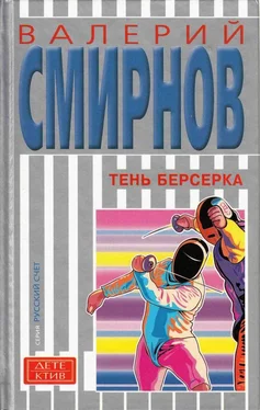 Валерий Смирнов Тень берсерка обложка книги