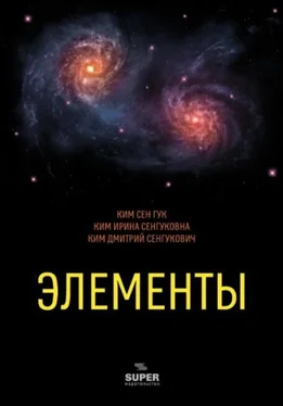 Сен Гук Ким Элементы обложка книги