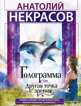 Анатолий Некрасов Голограмма, или Другая точка зрения обложка книги