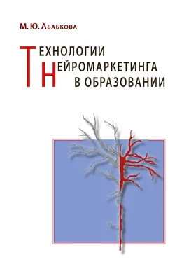 Марианна Абабкова Технологии нейромаркетинга в образовании обложка книги