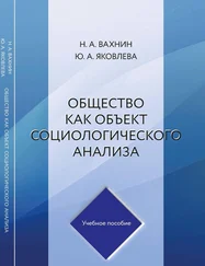 Николай Вахнин - Общество как объект социологического анализа
