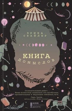 Эрика Свайлер Книга домыслов обложка книги