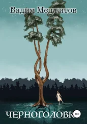 Вадим Меджитов - Черноголовка
