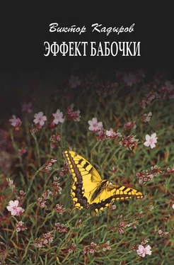 Виктор Кадыров Эффект бабочки обложка книги