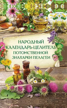 Наталия Попович Народный календарь-целитель потомственной знахарки Пелагеи обложка книги