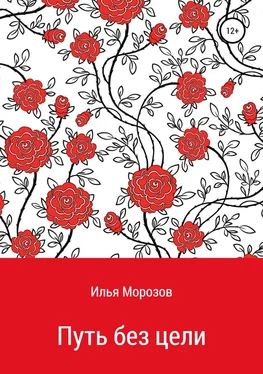 Илья Морозов Путь без цели обложка книги