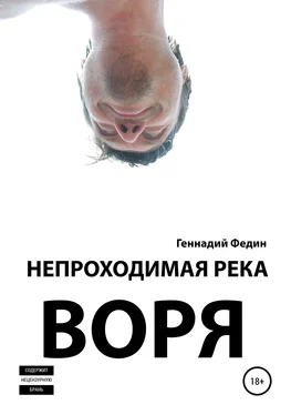 Геннадий Федин Непроходимая река Воря обложка книги