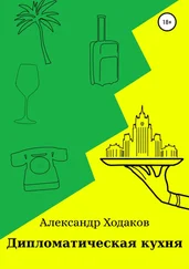 Александр Ходаков - Дипломатическая кухня