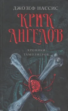 Джозеф Нассис Крик ангелов обложка книги