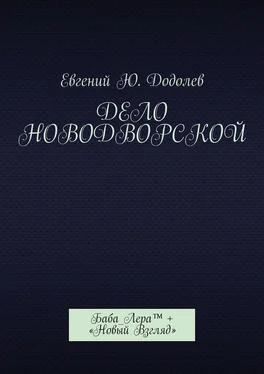 Евгений Додолев Дело Новодворской. Баба_Лера™ + «Новый Взгляд» обложка книги