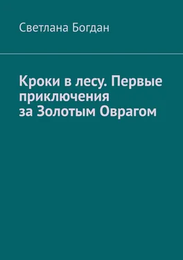 Светлана Богдан Кроки в лесу. Первые приключения за Золотым Оврагом обложка книги