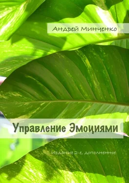 Андрей Минченко Управление эмоциями. Издание 2-е, дополненное обложка книги