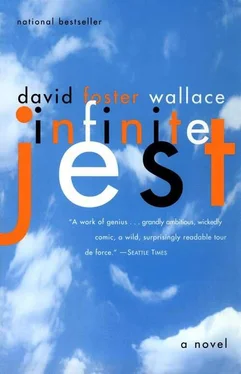 Дэвид Уоллес Бесконечная шутка (= Infinite jest обложка книги