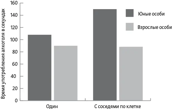 Соотношение времени которое мыши в юном возрасте тратят на употребление - фото 2