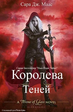 Сара Дж. Маас Королева теней (ЛП) обложка книги