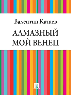 Валентин Катаев Алмазный мой венец обложка книги