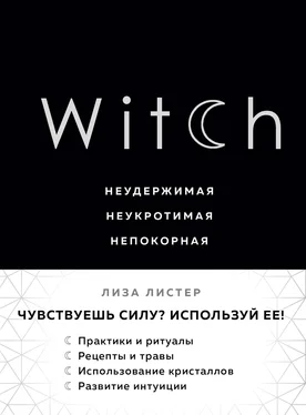 Лиза Листер Witch. Неудержимая. Неукротимая. Непокорная обложка книги